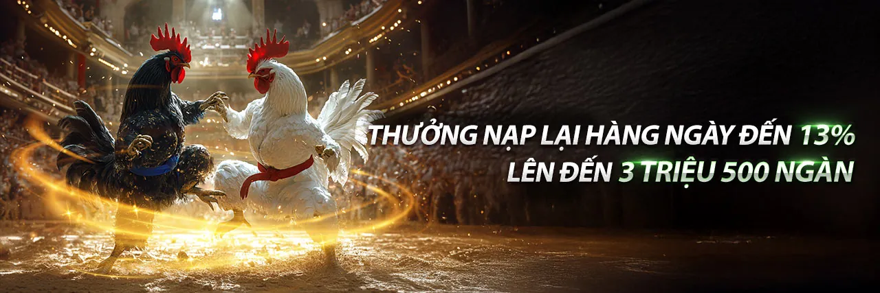 Đá Gà hy88 login 2026 - Sân đấu gà kịch tính